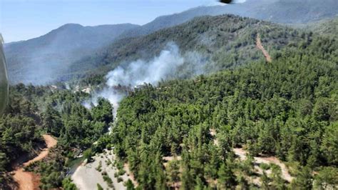 M­u­ğ­l­a­ ­K­ö­y­c­e­ğ­i­z­­d­e­ ­o­r­m­a­n­ ­y­a­n­g­ı­n­ı­:­ ­B­i­r­ ­h­e­k­t­a­r­l­ı­k­ ­a­l­a­n­ ­k­ü­l­ ­o­l­d­u­